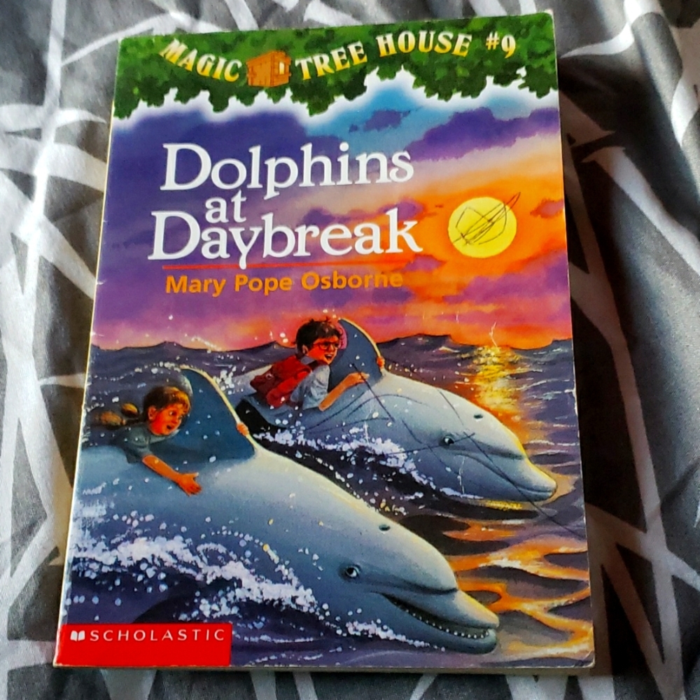 Dolphins at daybreak